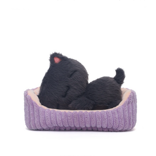 Penny Cat plush toy